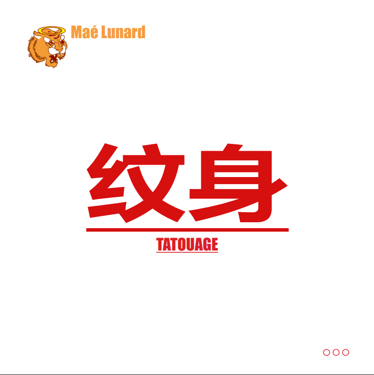 livret avec tous les détails des tatouages